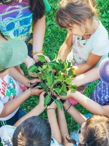 ¿Cómo incluir la educación ambiental en nuestras aulas?: Taller formativo para docentes