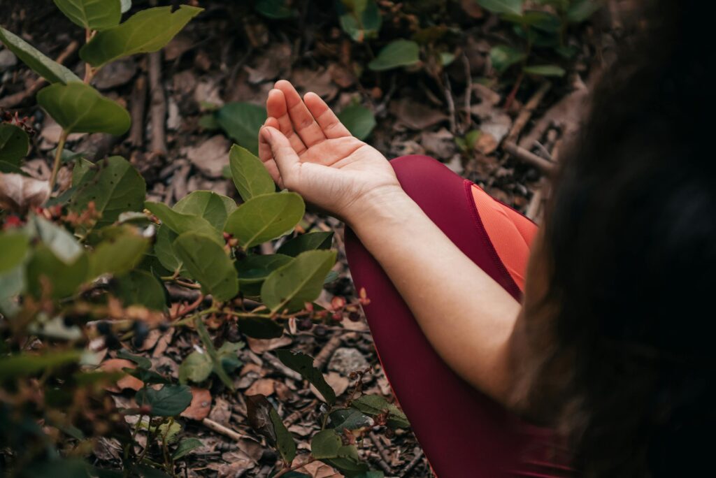 El ABC del mindfulness para la vida y el trabajo